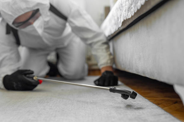 Professional Pest Control technician working in Camas County County, ID